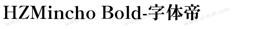 HZMincho Bold字体转换